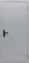 Дверь противопожарная ДПМ EI60-01 Ral 7035